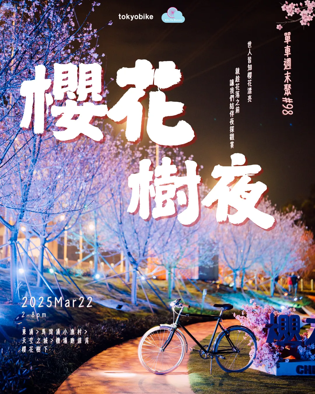 2025年3月。櫻花樹夜 25     3