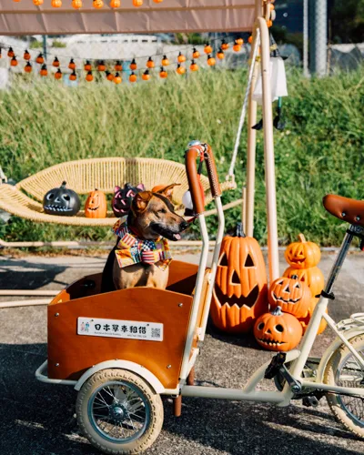 2025 HalloRide – 鬼馬單車派對 DSC00597