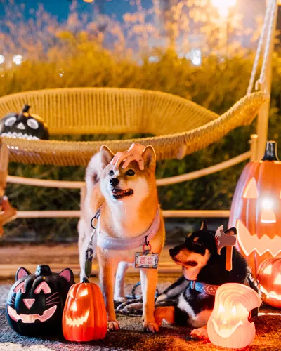 2025 HalloRide – 鬼馬單車派對 DSC01109