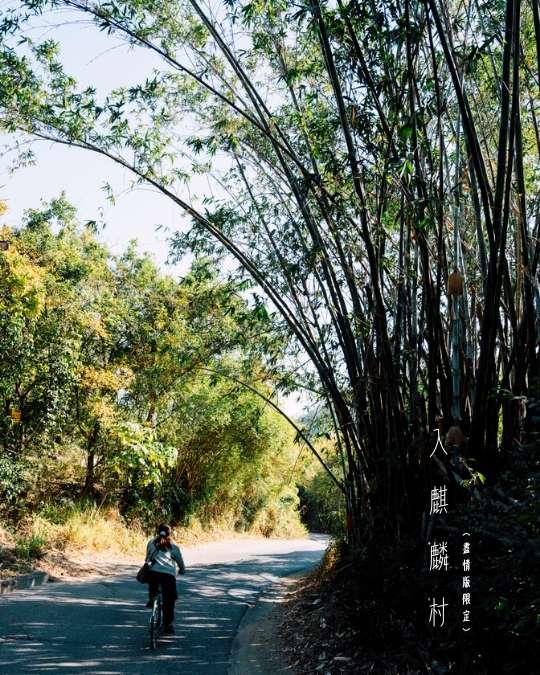 2026年2月 – 迷失的美好 14