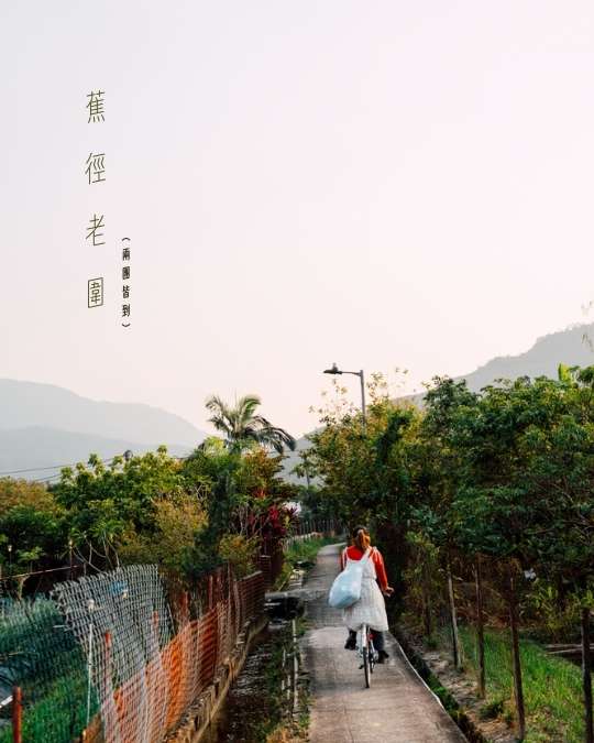 2026年2月 – 迷失的美好 17