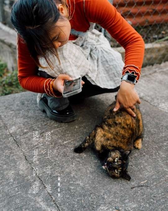 2026年2月 – 迷失的美好 18