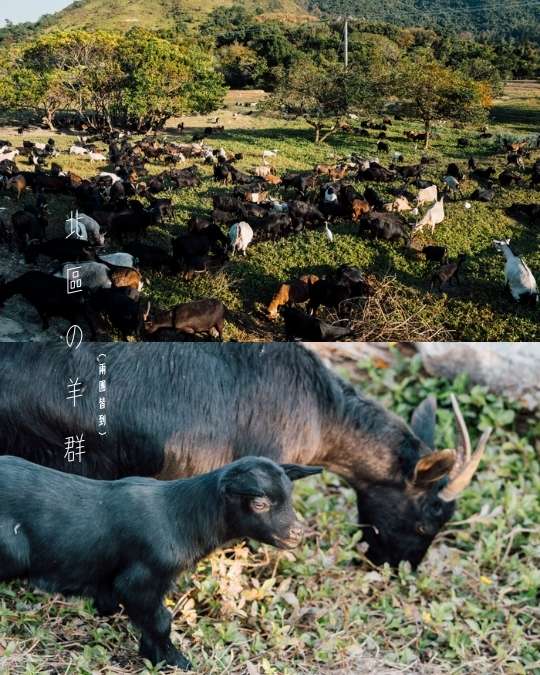 2026年2月 – 迷失的美好 19