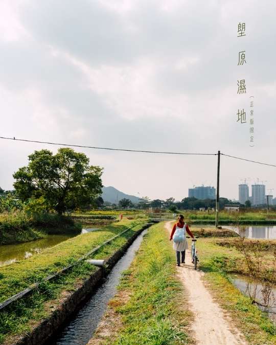 2026年2月 – 迷失的美好 3