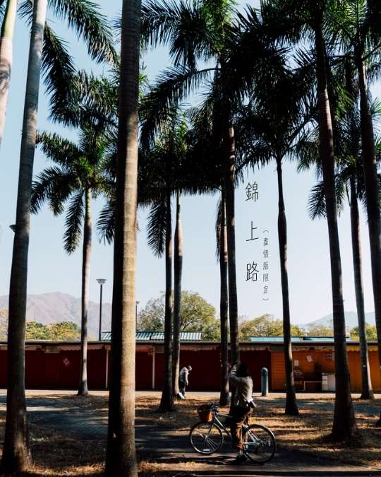 2026年2月 – 迷失的美好 5