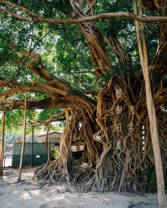 2026年2月 – 迷失的美好 6