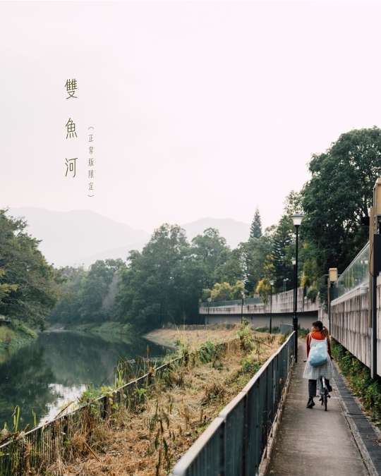 2026年2月 – 迷失的美好 8